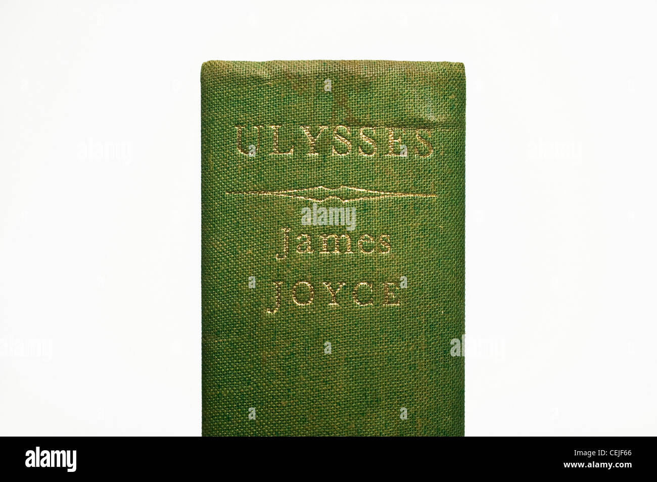 La spina dorsale di una vecchia copia di James Joyce Ulisse, non più in copyright Foto Stock