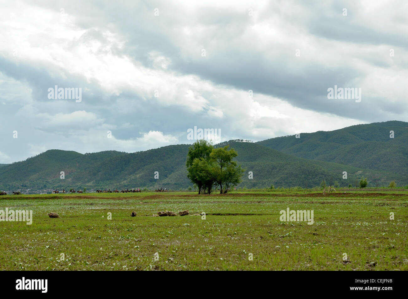 Montagna verde Foto Stock