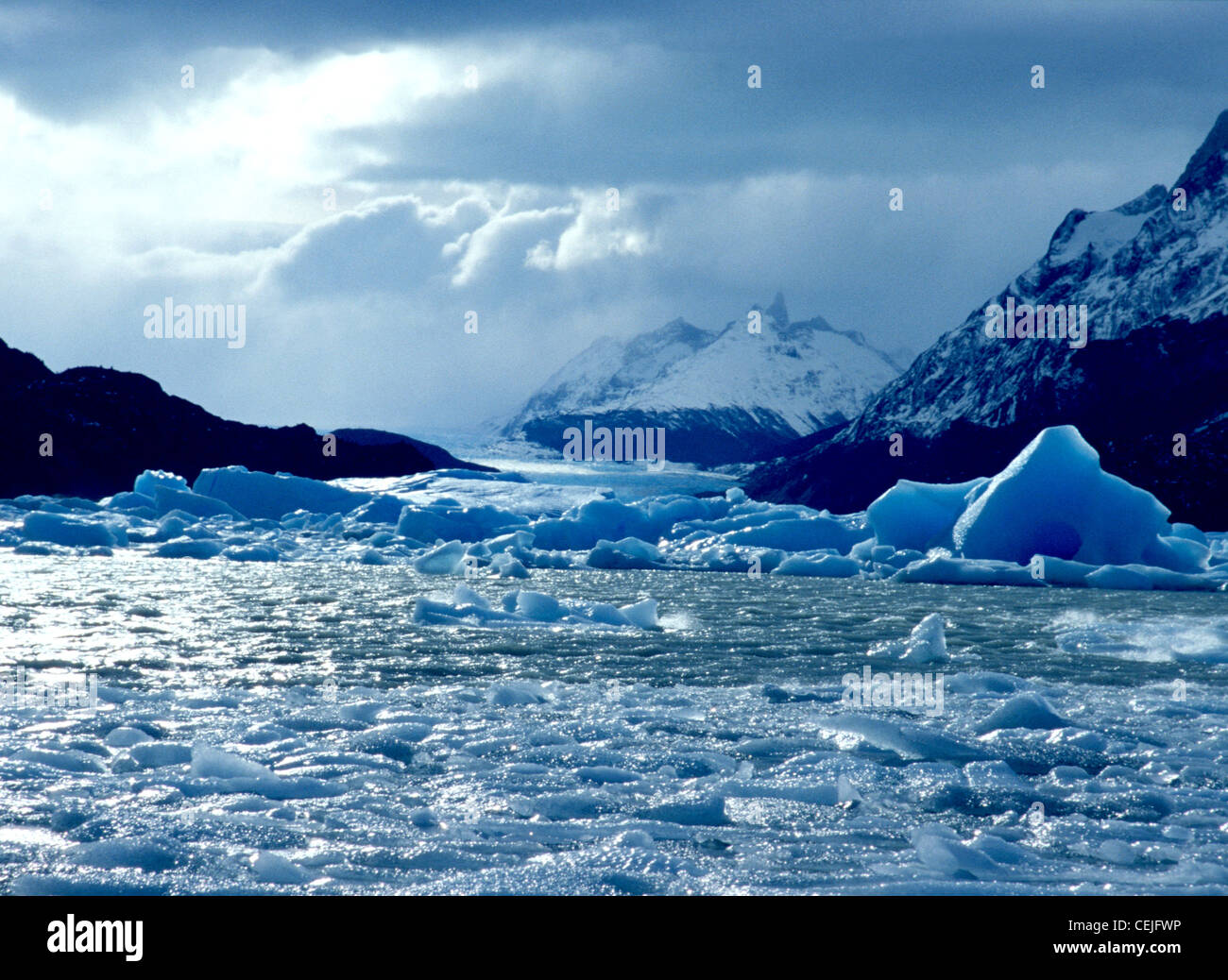 Ghiaccio congelato del ghiacciaio Grey, Parco Nazionale Torres del Paine, Cile Foto Stock