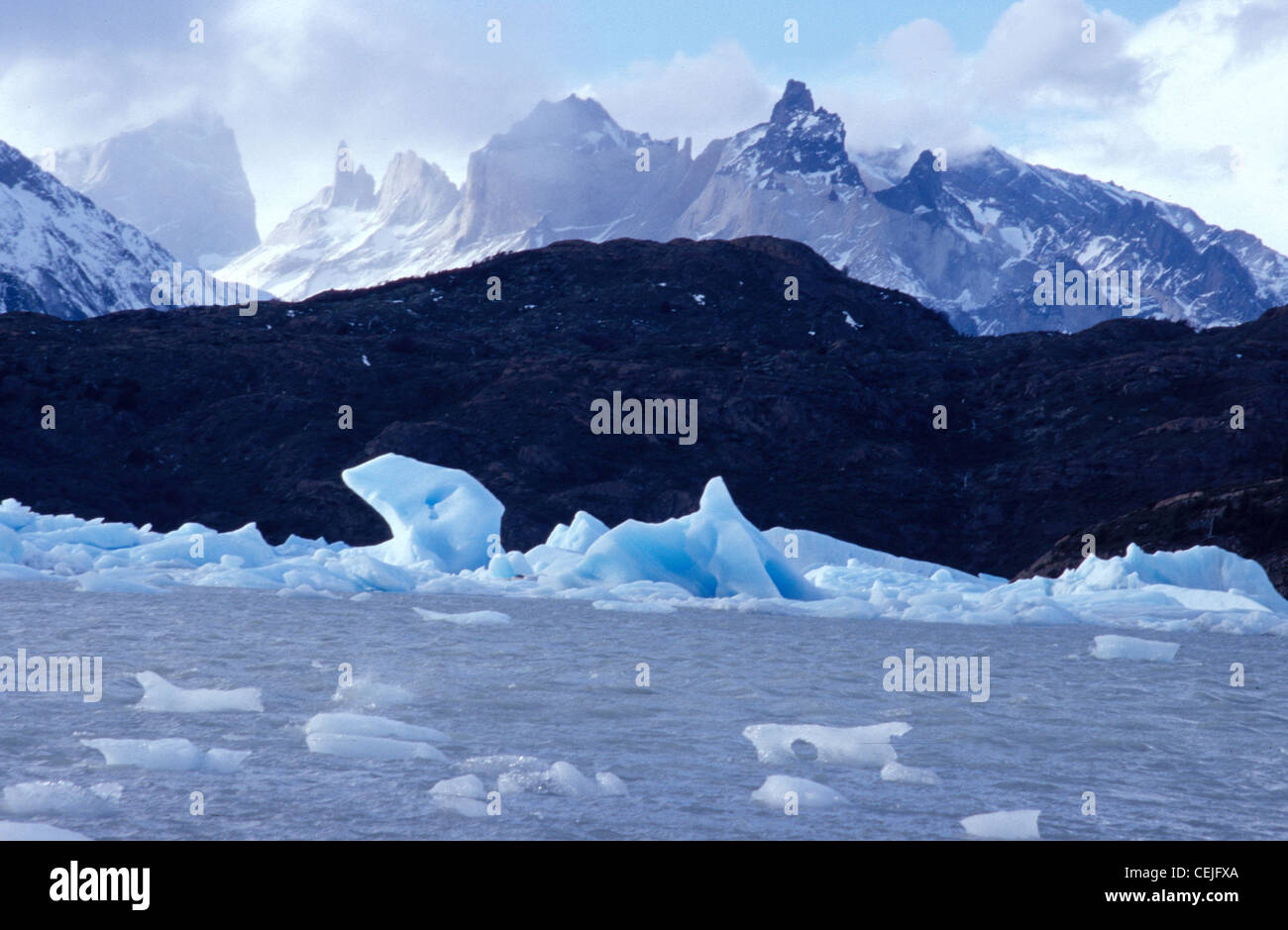 Ghiaccio congelato del ghiacciaio Grey, Parco Nazionale Torres del Paine, Cile Foto Stock