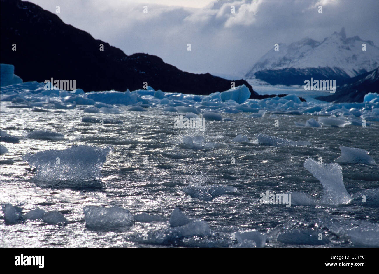 Ghiaccio congelato del ghiacciaio Grey, Parco Nazionale Torres del Paine, Cile Foto Stock