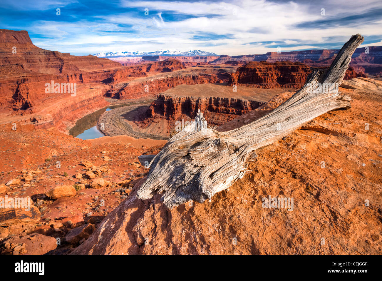 Il fiume Colorado che scorre a sud dove si incontra il fiume verde nel Parco Nazionale di Canyonlands. Utah. Foto Stock