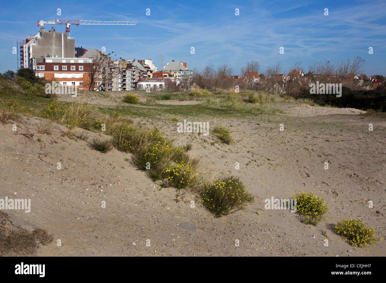 Dune e urbanizzazione di avanzamento mediante la costruzione di appartamenti lungo la costa belga del Mare del Nord, Knokke, Belgio Foto Stock