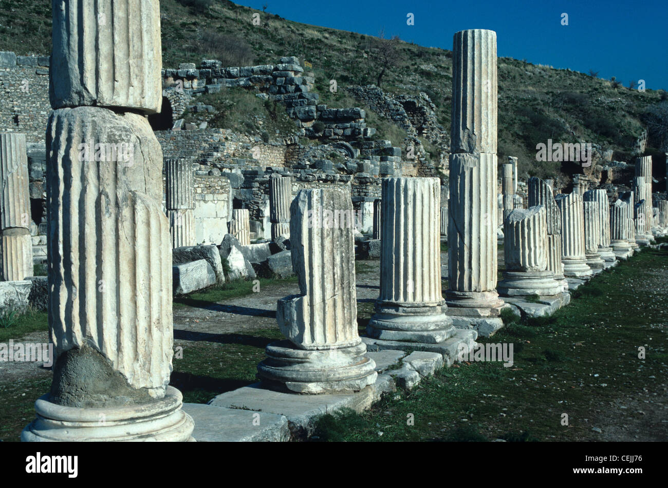 Colonne greche classiche o colonnate che marchano la Piazza del mercato dell'alta Agora e della Via Antique, Efeso, Turchia Foto Stock