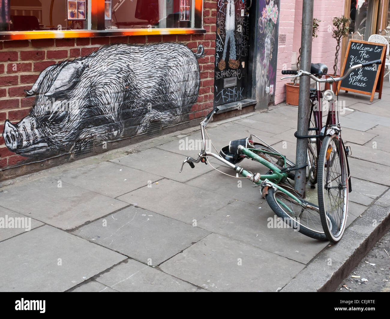 Arte di strada di un suino dall'artista Roa in pancetta Street, East London. Foto Stock
