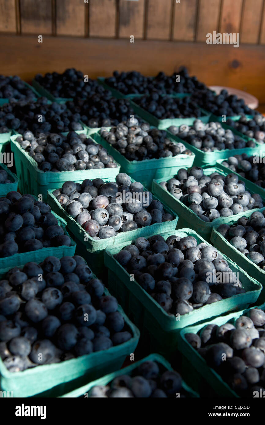 Agricoltura - mirtilli freschi in contenitori a un paese farmstand / Little Compton, Rhode Island, Stati Uniti d'America. Foto Stock