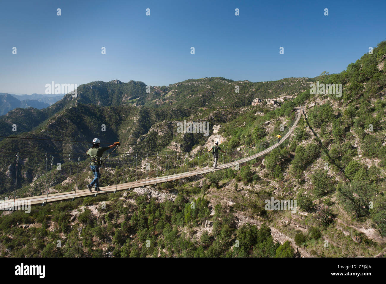 Persone attraversando un ponte sospeso nel Canyon di rame, Chihuahua, Messico. Foto Stock