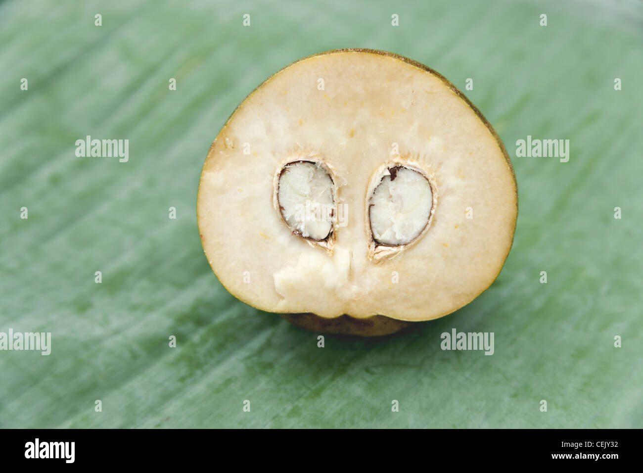 Bianco frutta Sapote dimezzato. Foto Stock