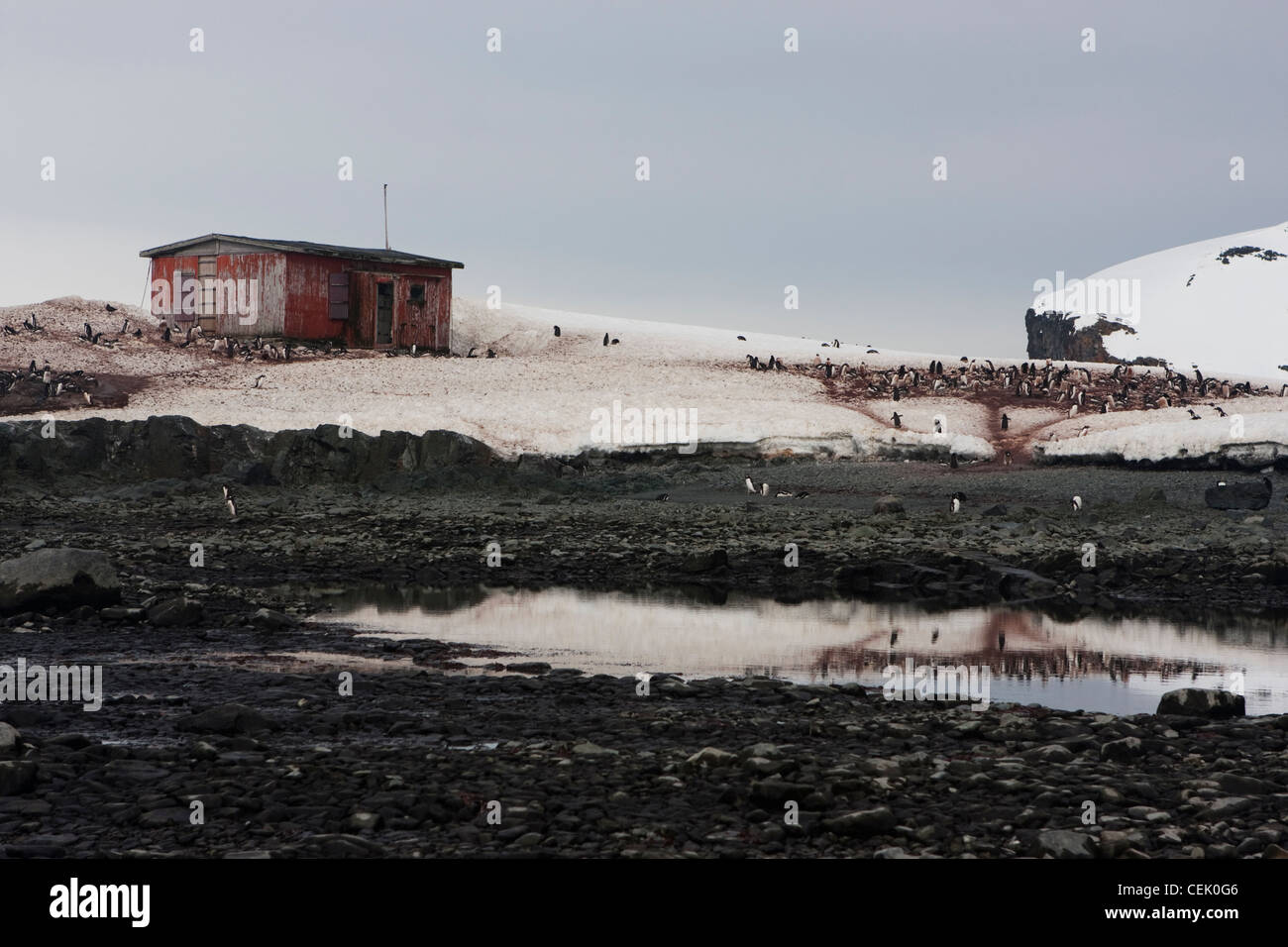 Edificio rosso in Antartide vicino penguin rookery Foto Stock