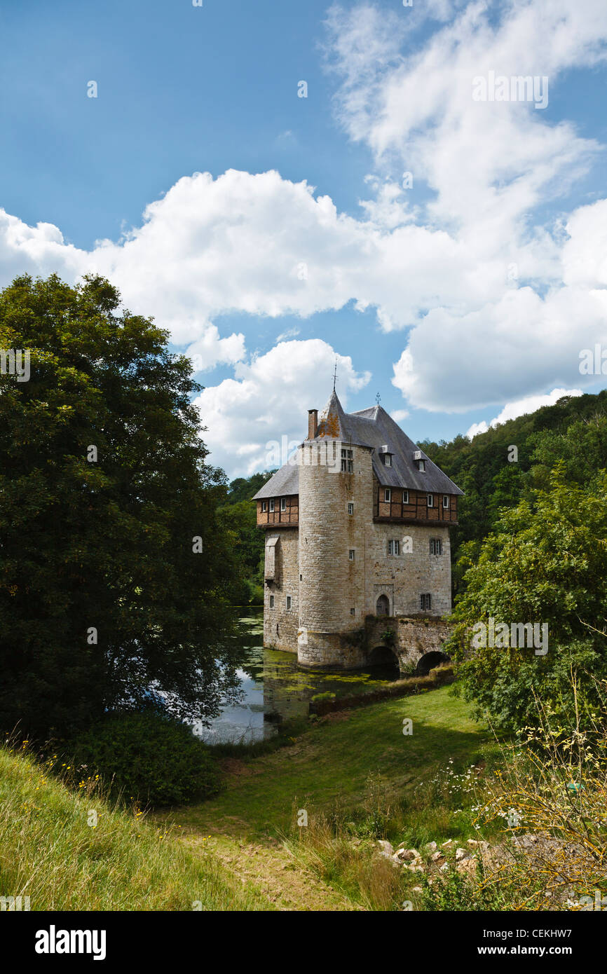 La torre del castello di Crupet, la Vallonia, Belgio. Foto Stock