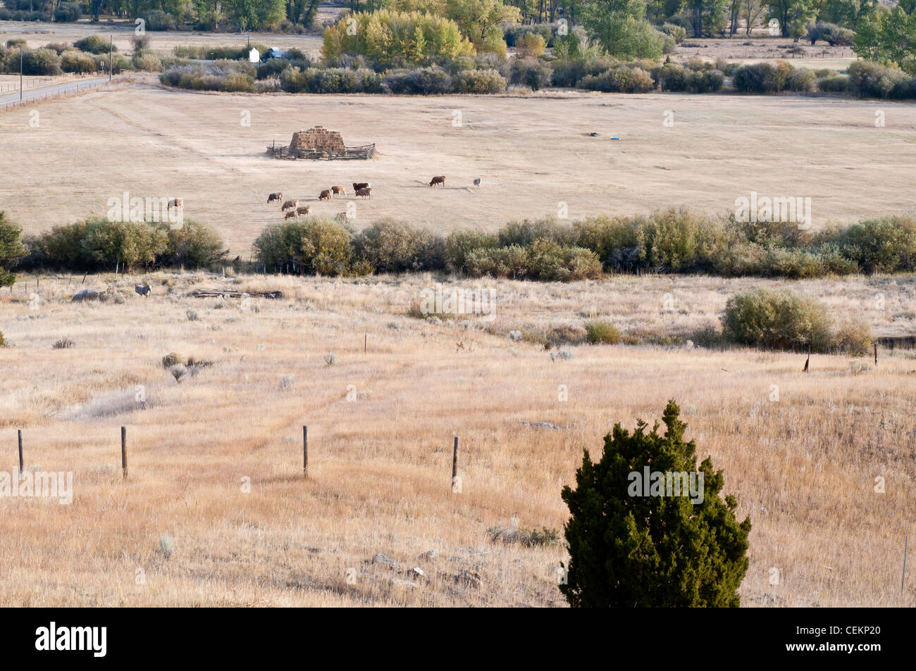 Montana ranch terra attorno a Boulder, Montana. Foto Stock