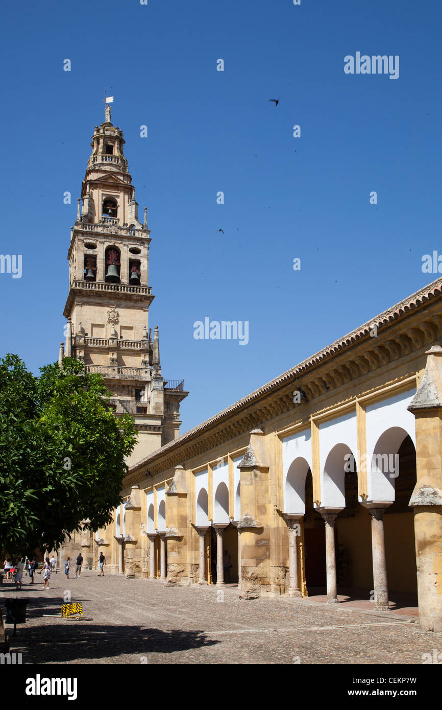 Spagna, Andalusia, Cordoba, Cattedrale Mezquita di Cordova e Torre Campanaria Foto Stock