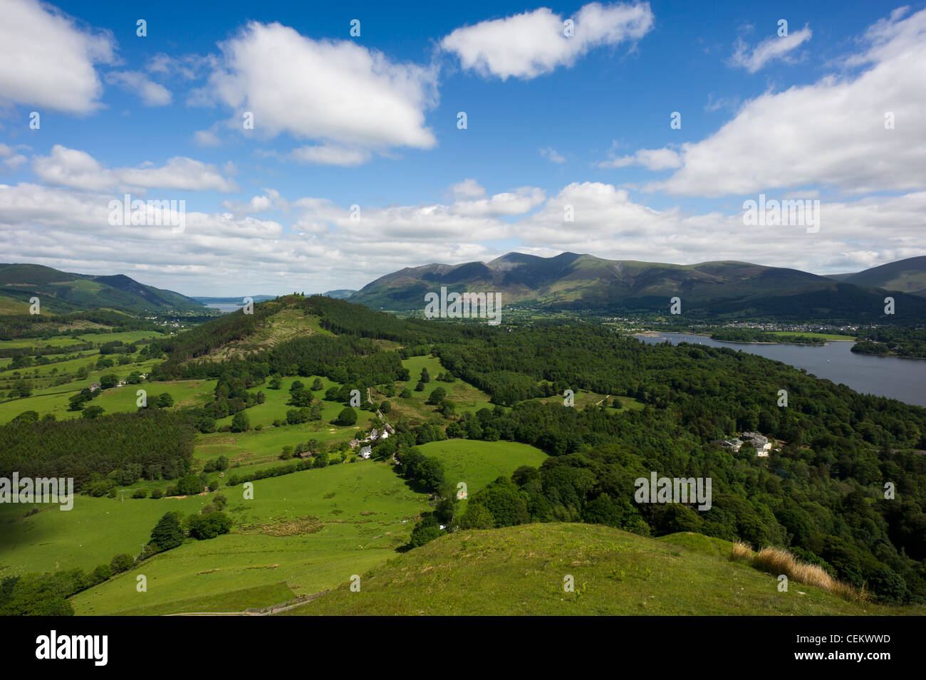 Vista di Derwent Water e Newlands Valley dal vertice di Catbells, Lake District, REGNO UNITO Foto Stock