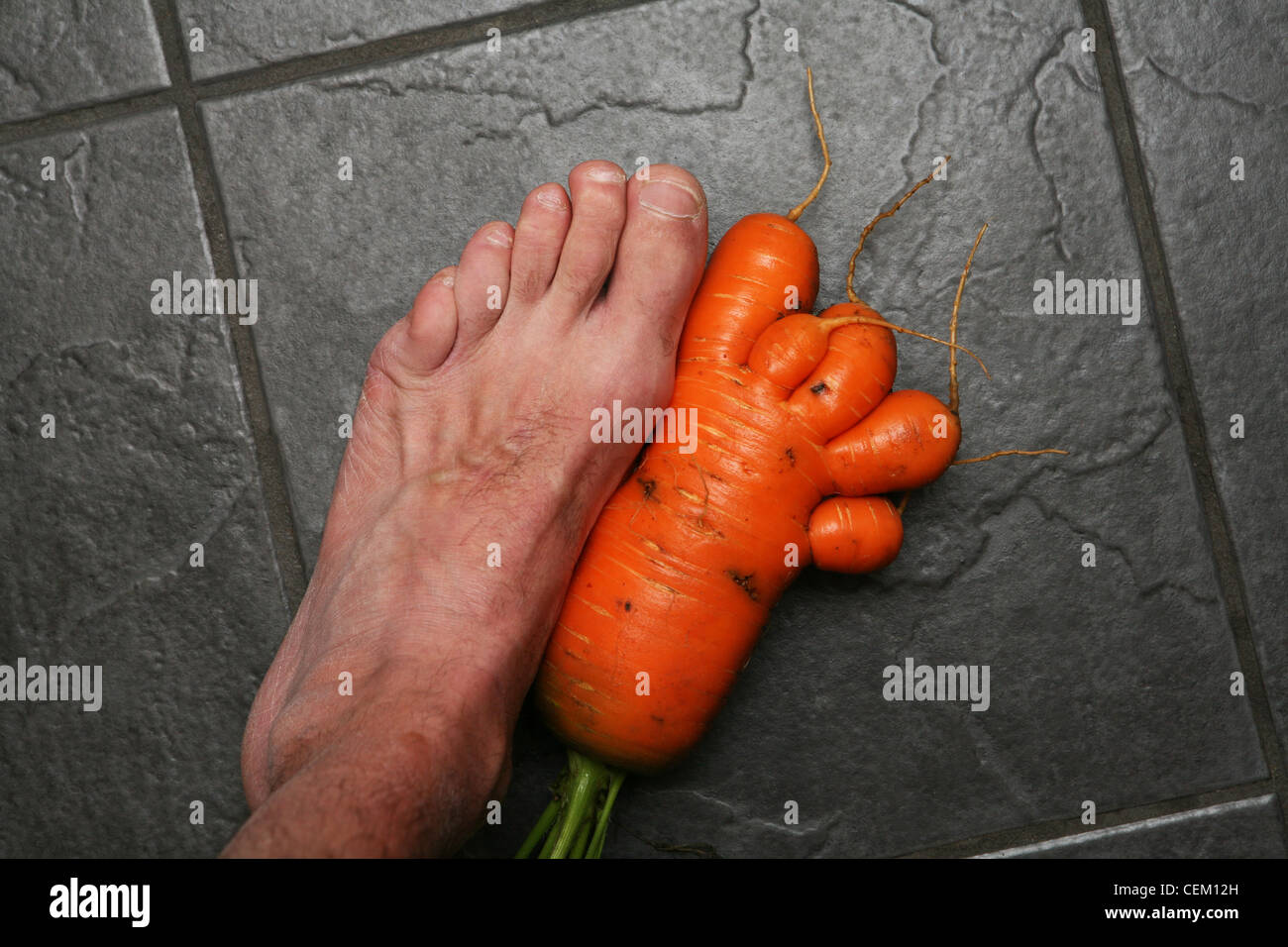 Un piede di casa a forma di Carota coltivata accanto a un vero e proprio piede. Foto Stock