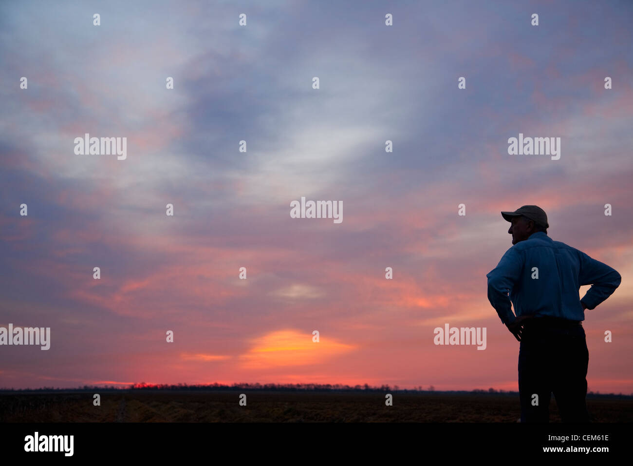 Agricoltura - un agricoltore (coltivatore) si affaccia sul suo campo di sunrise / Eastern Arkansas, Stati Uniti d'America. Foto Stock