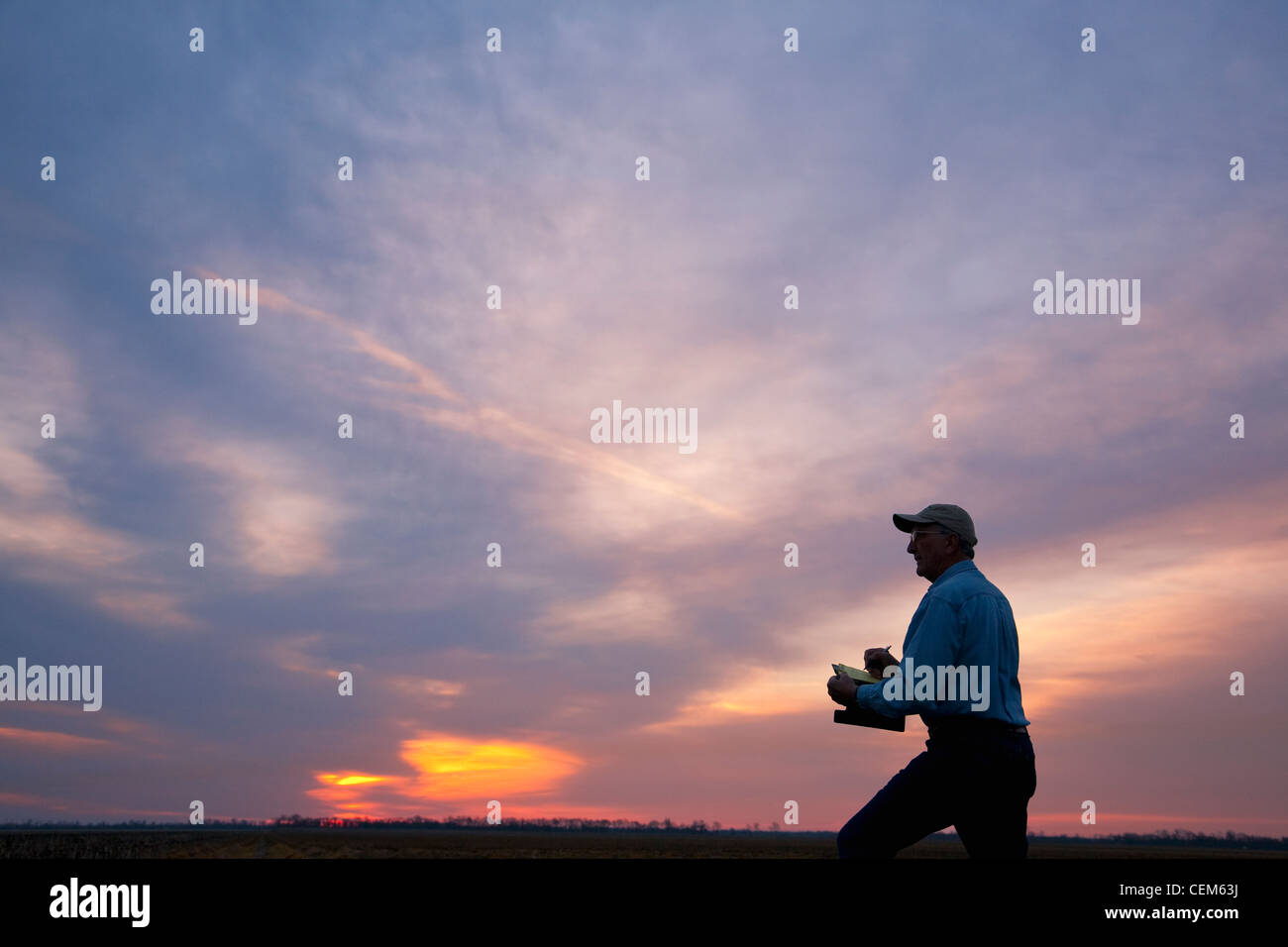 Agricoltura - un agricoltore (coltivatore) nel suo campo di sunrise registra i dati di raccolto nel suo log book / Eastern Arkansas, Stati Uniti d'America. Foto Stock