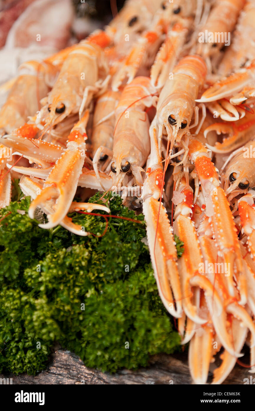Un mucchio di Langoustine molto fresco per la vendita ad una stalla di fishmonger in Borough Market London England UK Foto Stock