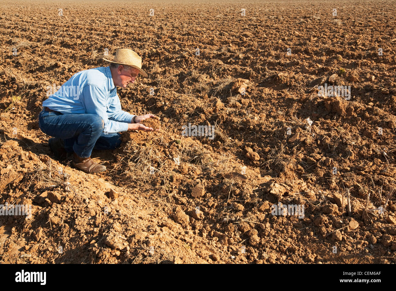 Agricoltura - un agricoltore (coltivatore) esamina bedded terra che sarà piantato al cotone nei prossimi mesi / Inghilterra, Arkansas. Foto Stock