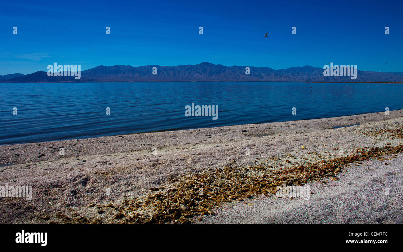 L'estremità nord del Salton Sea si siede tranquillamente sotto il Southern California blue sky. Foto Stock