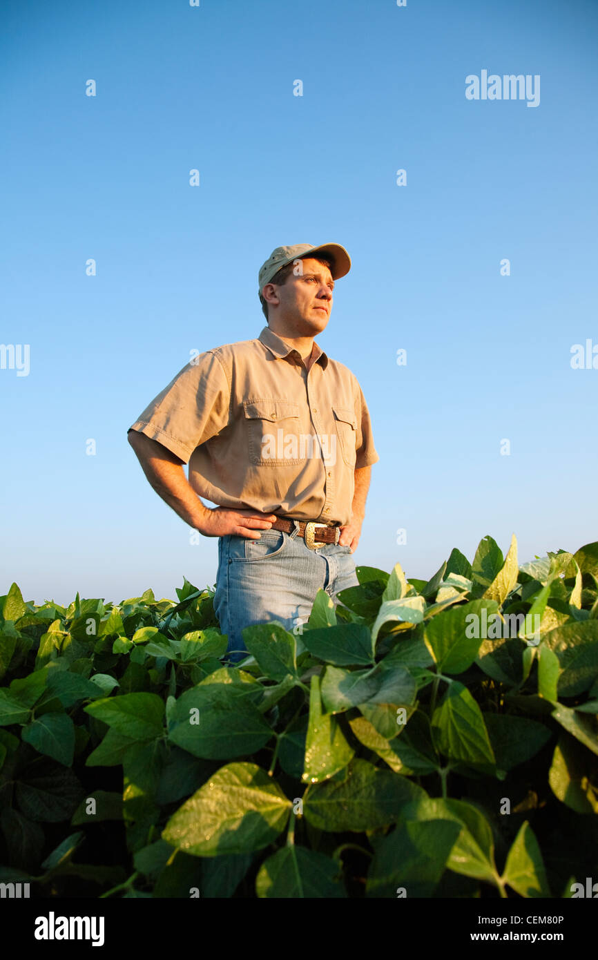 Un contadino (coltivatore) si affaccia sul suo campo ed esamina la sua metà della crescita di raccolto di soia a metà-fine cialda set stage / STATI UNITI D'AMERICA. Foto Stock