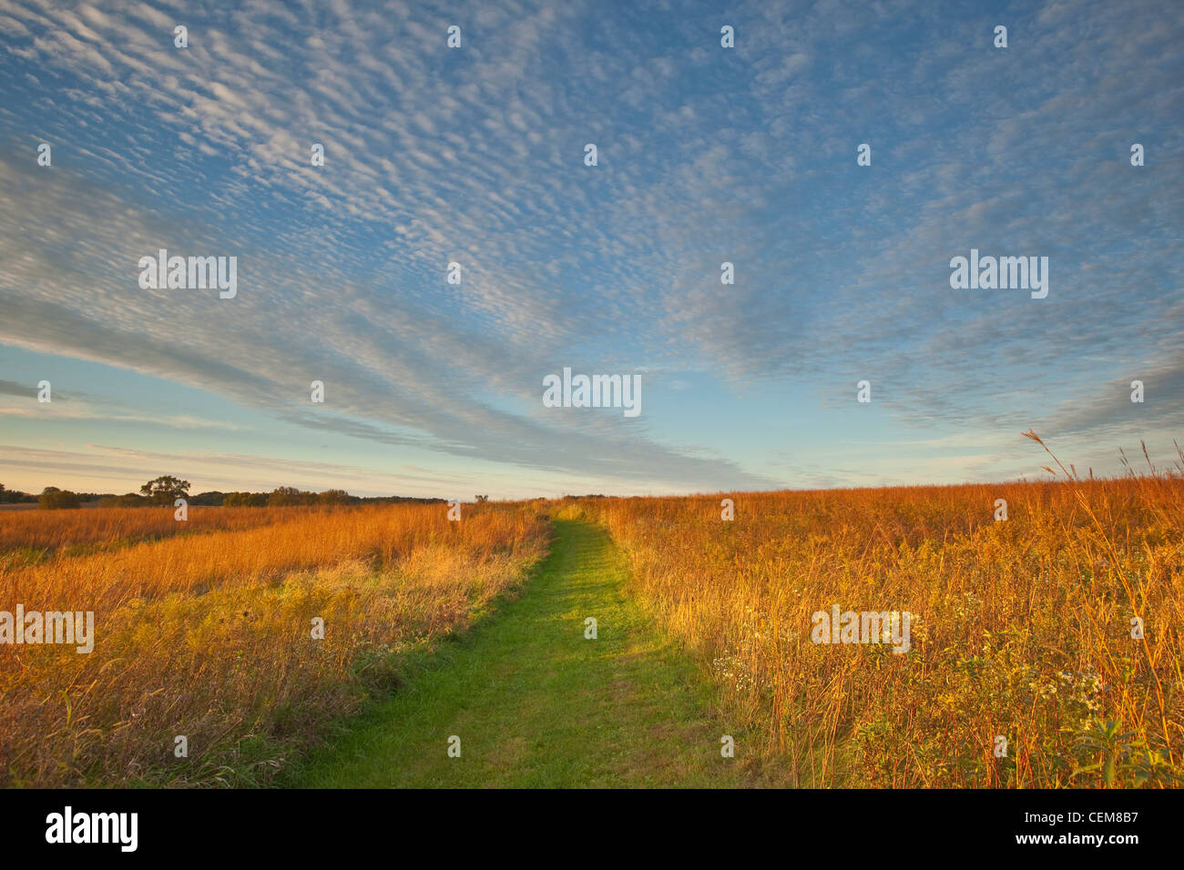 Sentiero attraverso il tallgrass prairie, una prateria di progetto di restauro al Monte di San Francesco Prairie, Dubuque, Iowa, USA Foto Stock