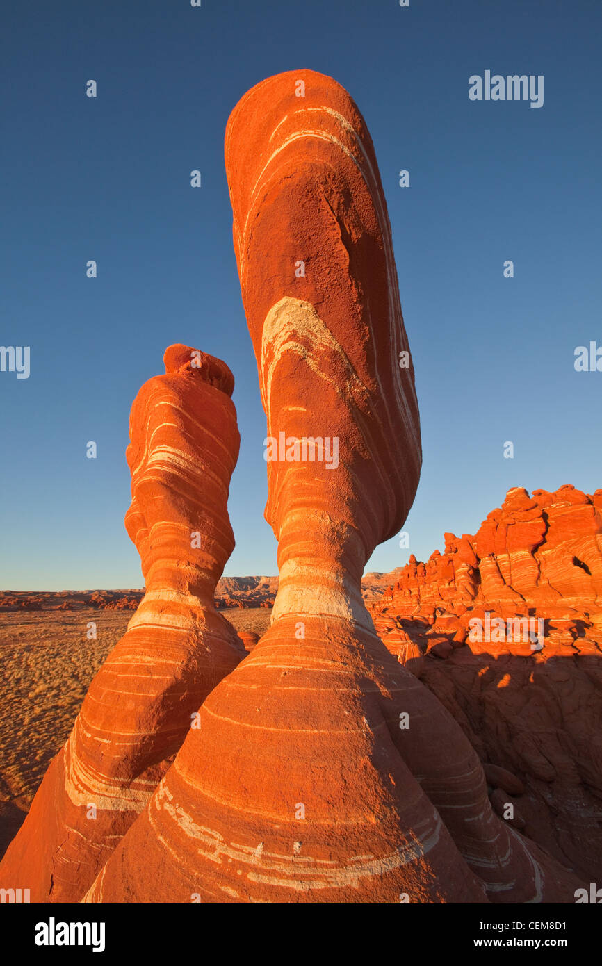 Pietra arenaria, hoodoos, formazioni rocciose, vicino Ward terrazza, Navajo Nation, Coconino County, Arizona, Stati Uniti d'America Foto Stock