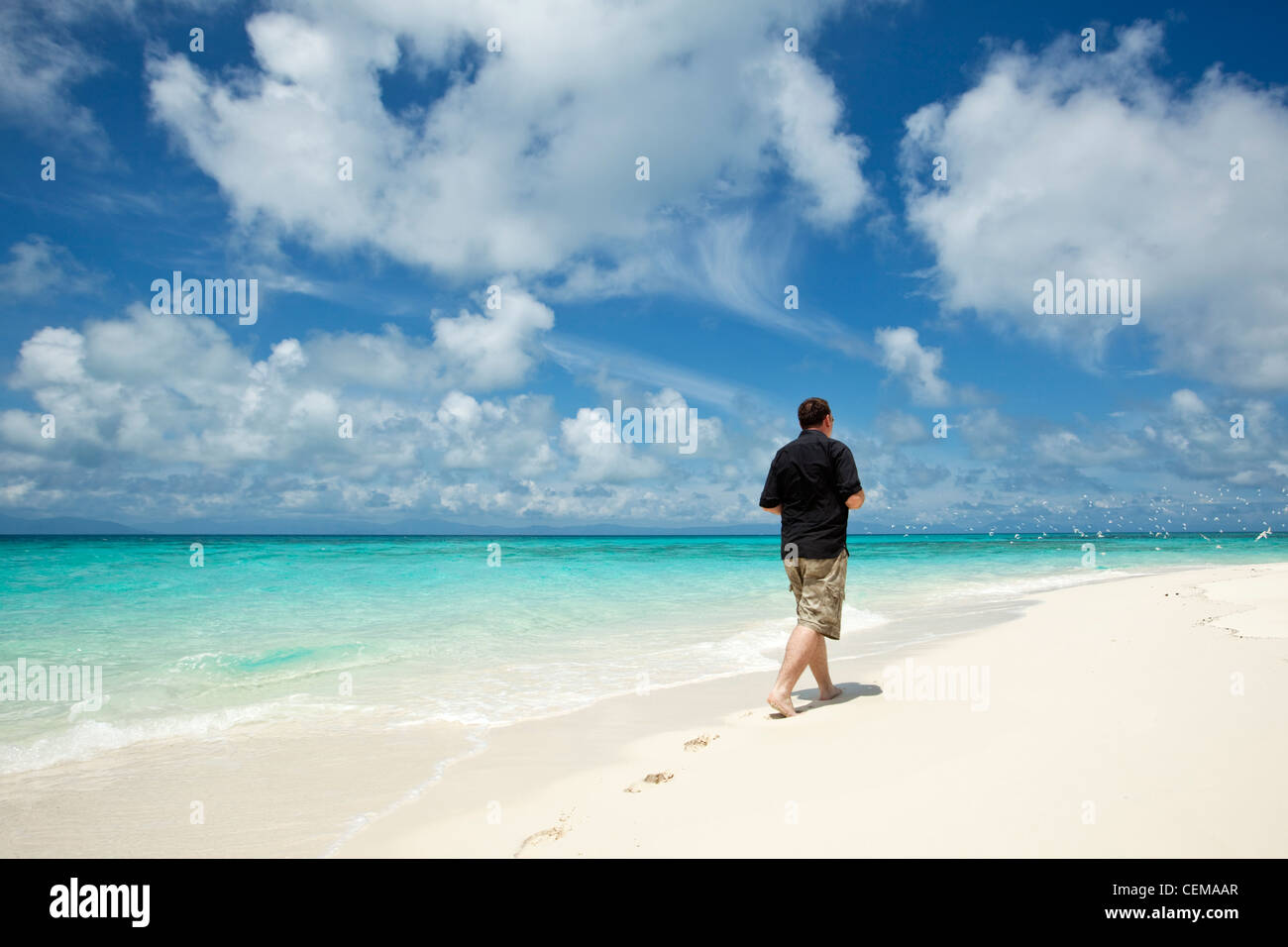 Uomo che cammina lungo la riva del Vlassof Cay - un telecomando sabbia cay vicino a Cairns. Great Barrier Reef Marine Park, Queensland, Australia Foto Stock