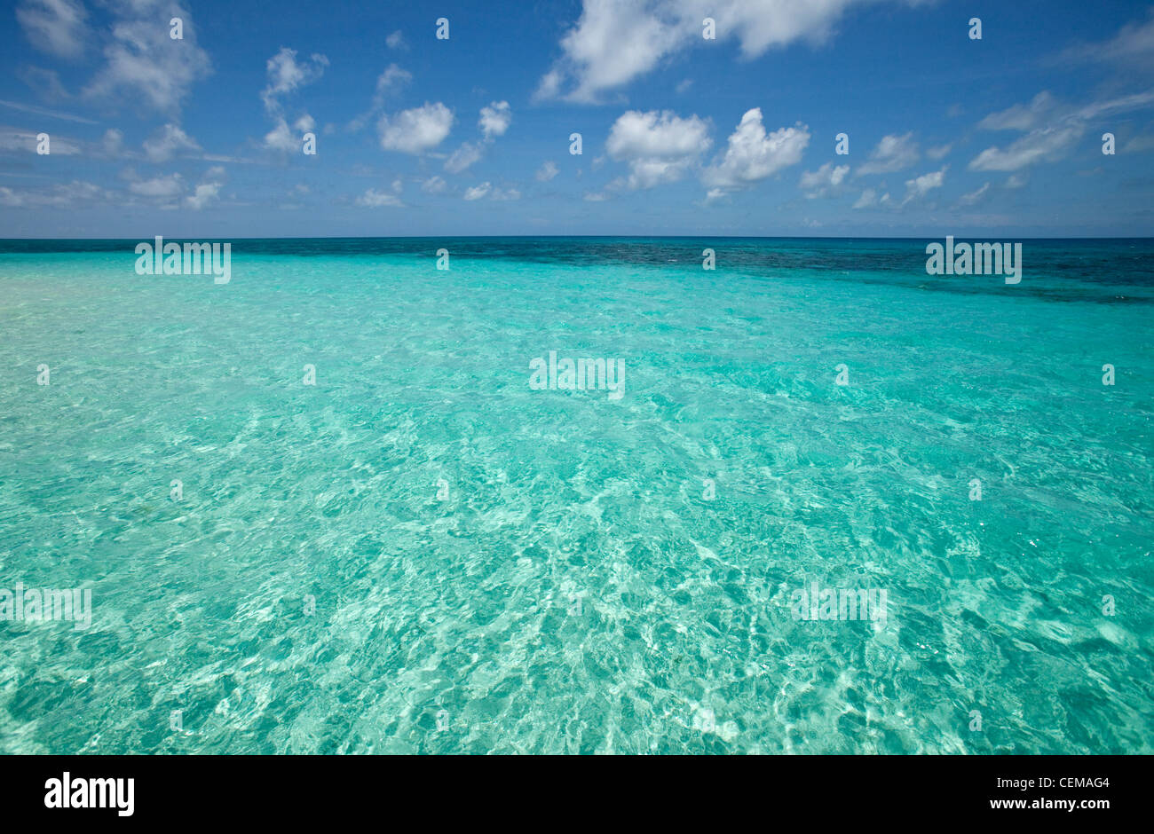 Acque chiare di Vlassof Cay - un telecomando sabbia cay vicino a Cairns. Great Barrier Reef Marine Park, Queensland, Australia Foto Stock