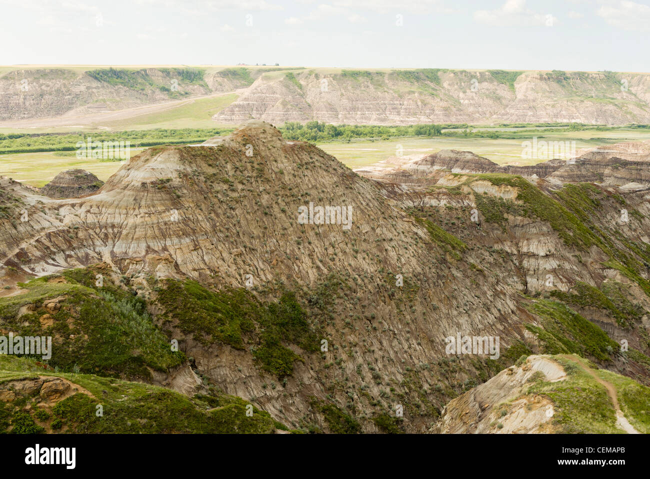 Horsethief canyon, in Alberta Badlands, vicino Drumheller, Alberta, Canada Foto Stock