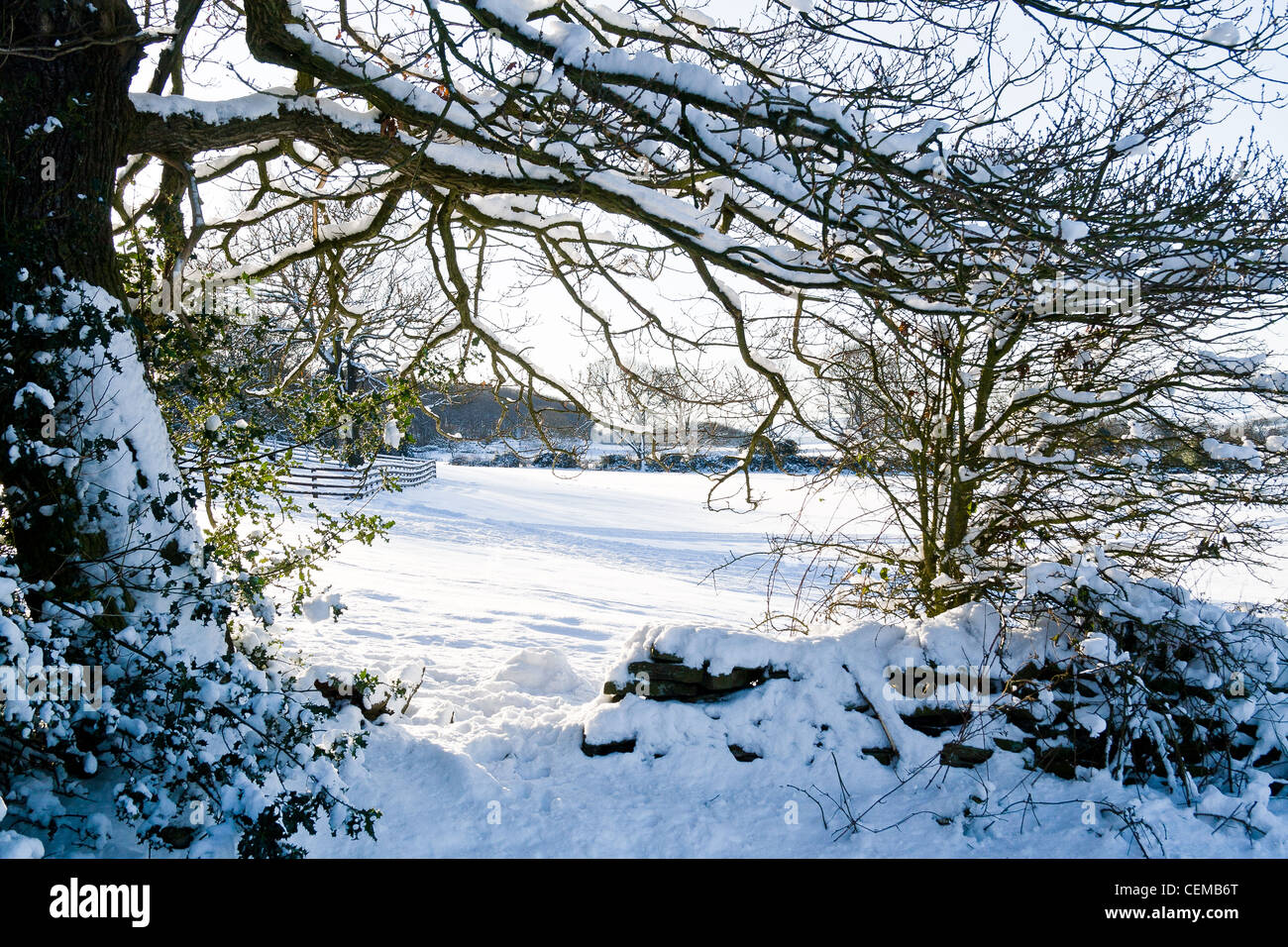 Scena di neve nel Pennines vicino a Huddersfield, West Yorkshire Foto Stock