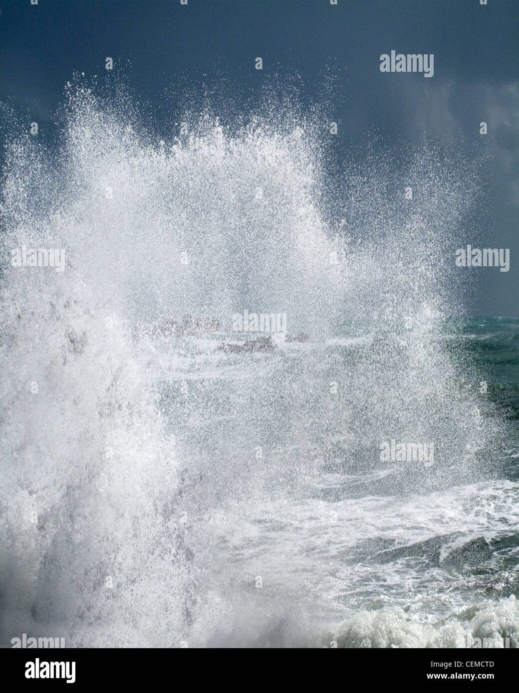 La natura: l'onda Foto Stock