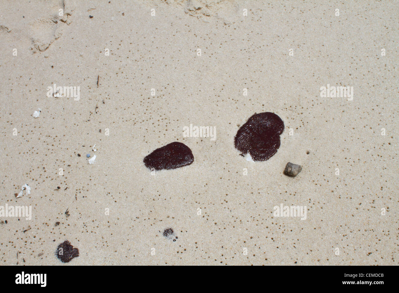 Deepwater Horizon fuoriuscite di olio, BP, Golfo del Messico, Macondo fuoriuscite Foto Stock