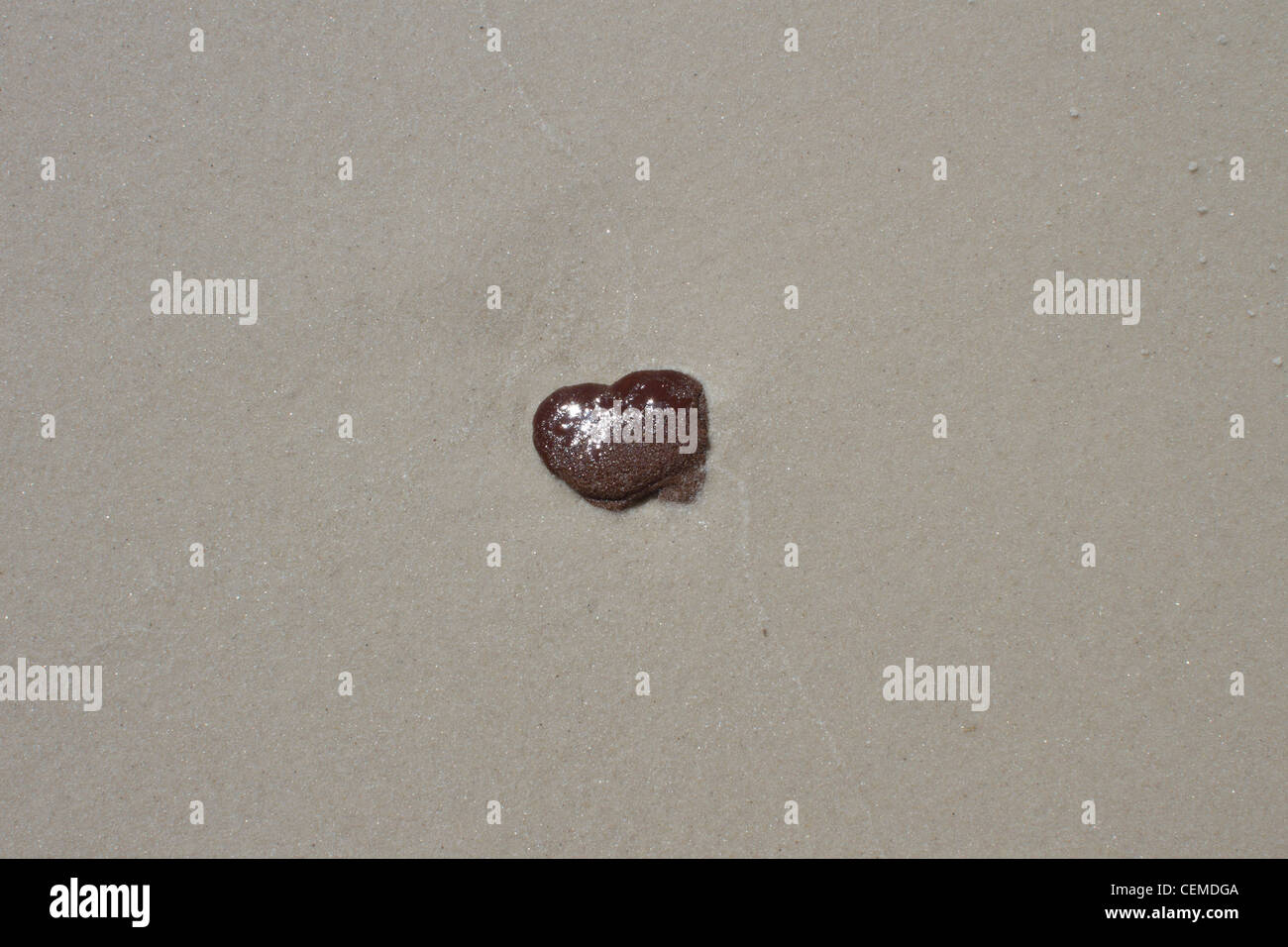 Deepwater Horizon fuoriuscite di olio, BP, Golfo del Messico, Macondo fuoriuscite Foto Stock