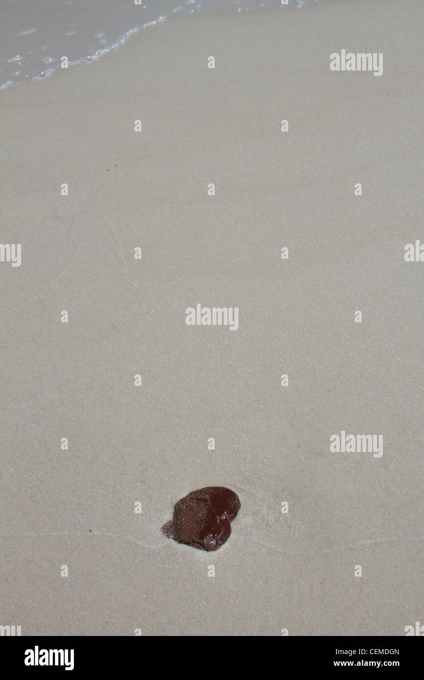 Deepwater Horizon fuoriuscite di olio, BP, Golfo del Messico, Macondo fuoriuscite Foto Stock