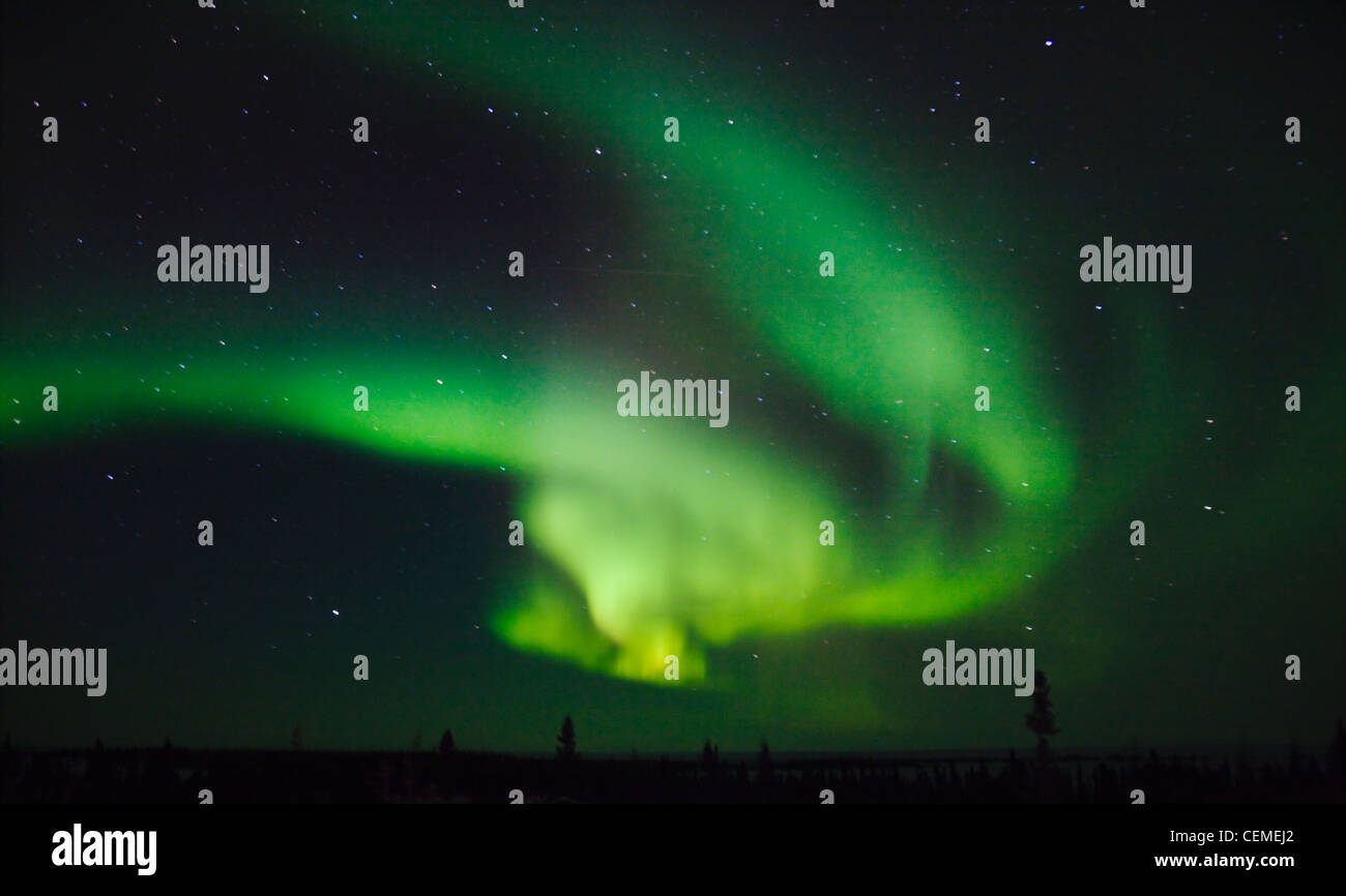 Luce di Aurora, Manitoba, Canada Foto Stock