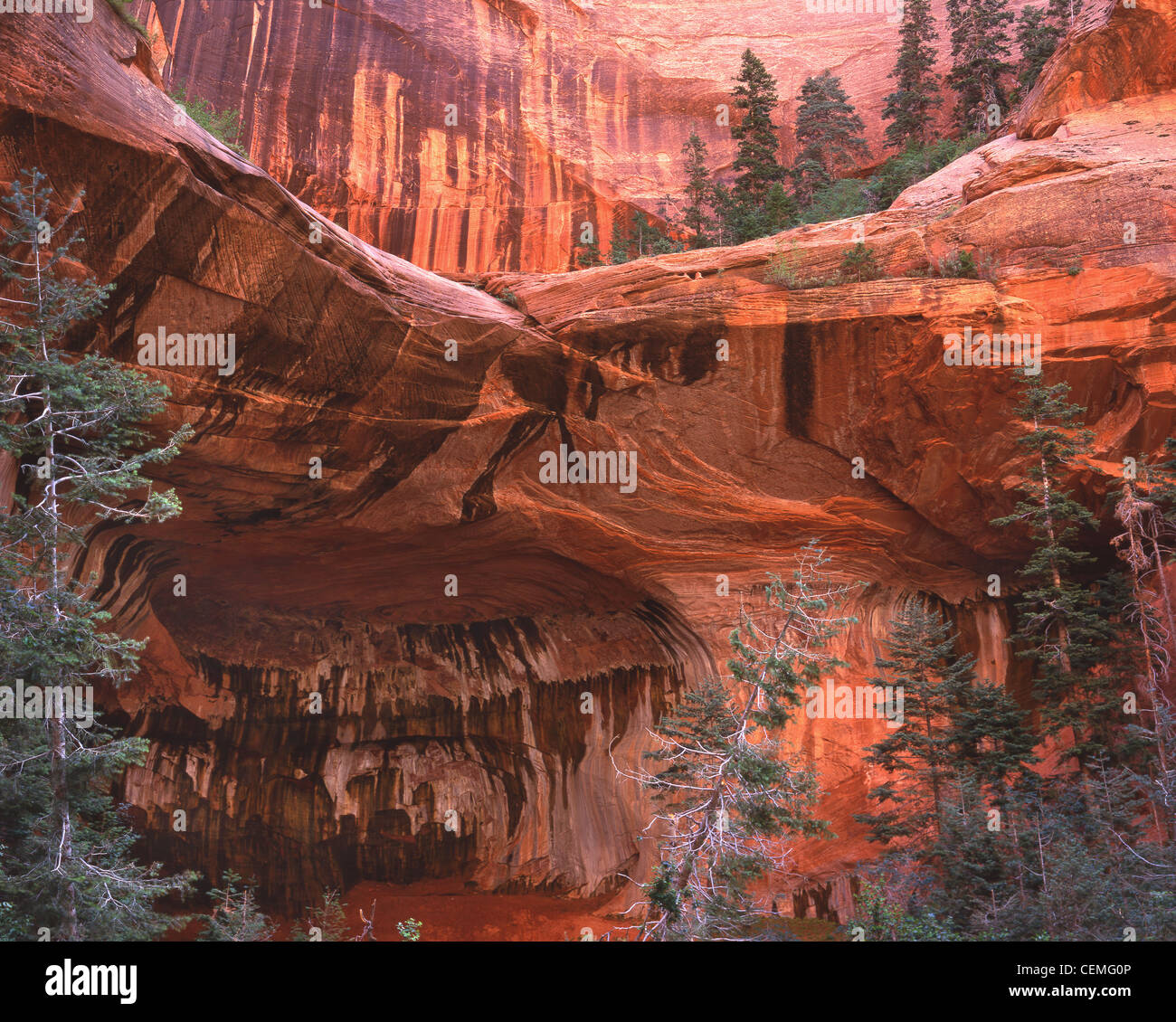Il doppio arco alcova lungo Taylor Creek nella sezione Kolob del Parco Nazionale di Zion nel sud dello Utah, Stati Uniti d'America Foto Stock