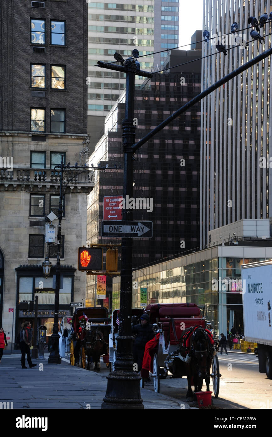 Sole di mattina ritratto, Quinta Avenue grattacieli, lampada piccioni, carrozze parcheggiato, West 59th Street, Grand Army Plaza New York Foto Stock