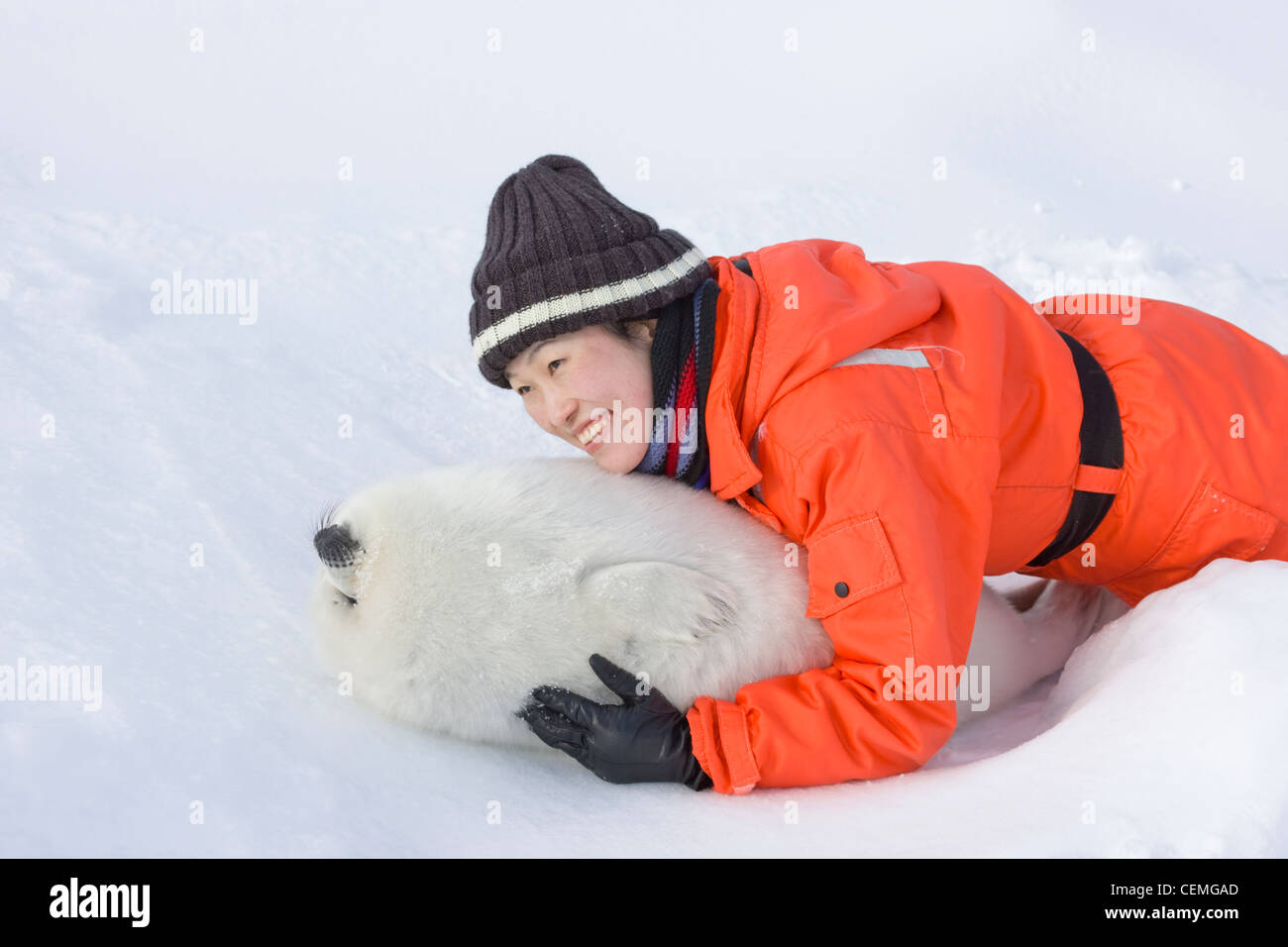 Turistico con arpa di cucciolo di tenuta su ghiaccio, Iles de la Madeleine, Canada Foto Stock