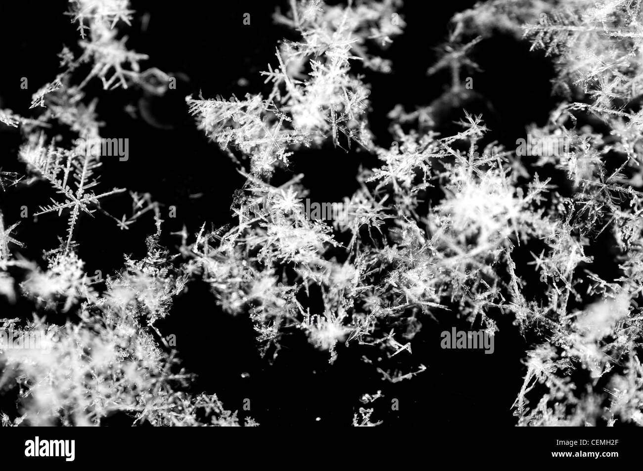 Cristalli di neve closeup Foto Stock