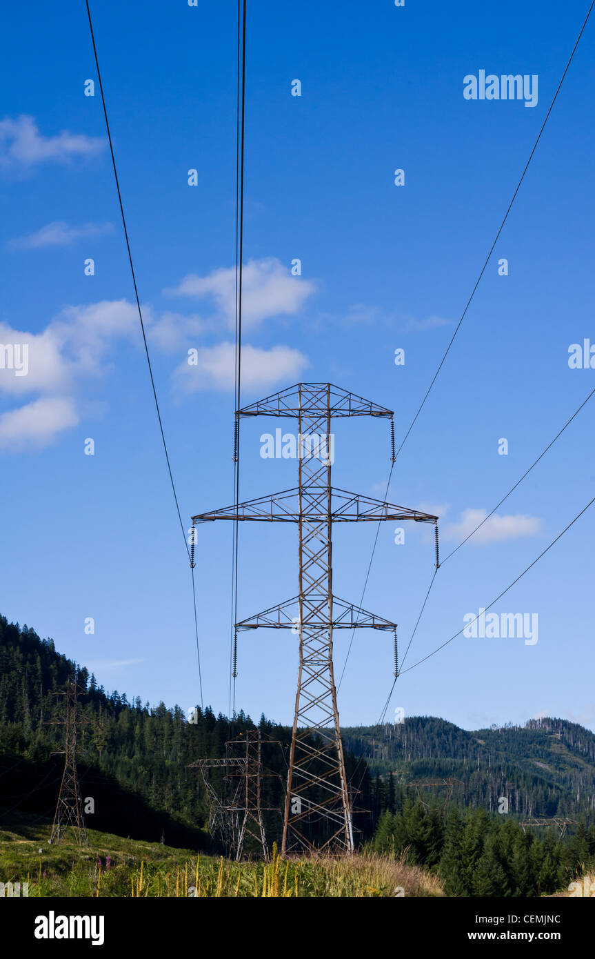 Linee elettriche di trasmissione e la torre in esecuzione attraverso la foresta Foto Stock