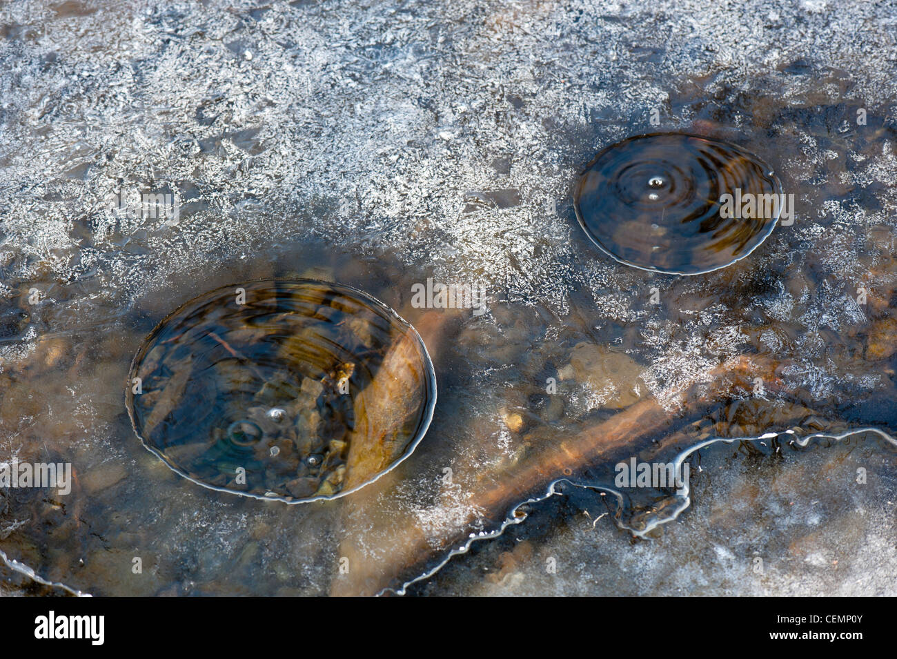 Mofetta bolle al lago laach LAACHER SEE CO2 mendig eifel RENANIA-PALATINATO Germania Europa Foto Stock