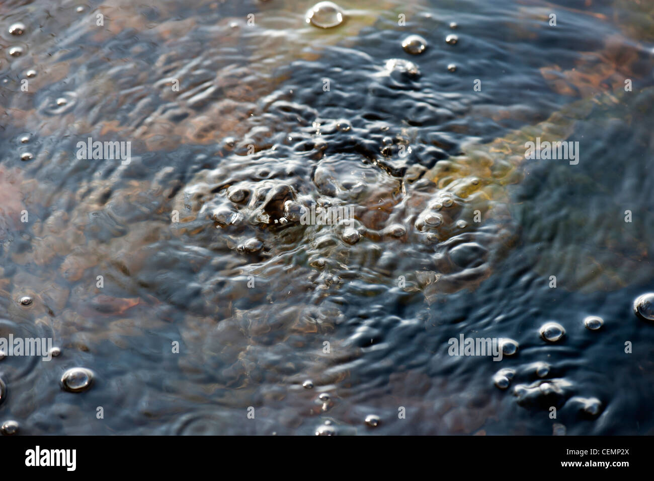 Mofetta bolle al lago laach LAACHER SEE CO2 mendig eifel RENANIA-PALATINATO Germania Europa Foto Stock