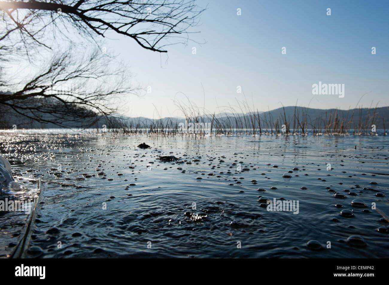 Mofetta bolle al lago laach LAACHER SEE CO2 mendig eifel RENANIA-PALATINATO Germania Europa Foto Stock