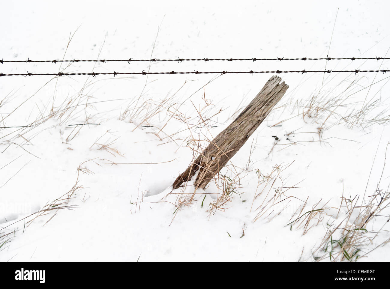 In prossimità di una staccionata in legno Pole e filo spinato nella neve Foto Stock