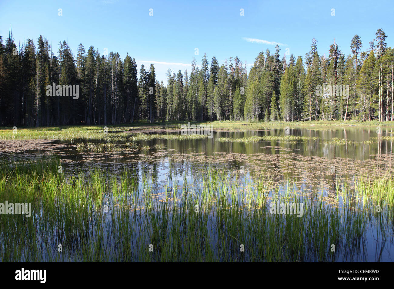 Un lago vicino la Tioga Road in Yosemite NP California USA Foto Stock