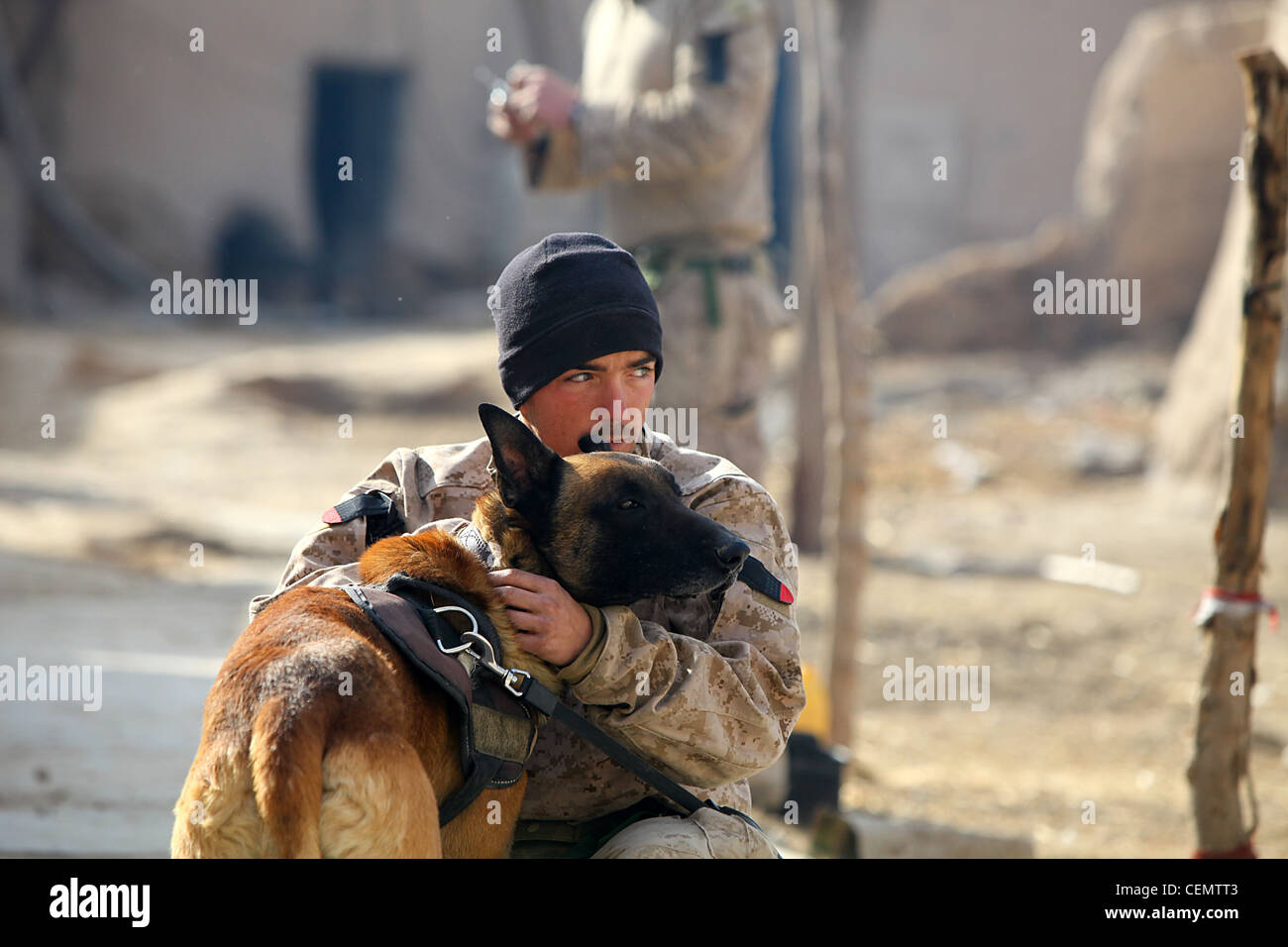 CPL. Derrick Magee, 21, gestore di cani con 2 ° Battaglione, 4 ° Marines, da Vineland, N.J. si occupa di TTroy. TTroy fa parte del programma di cuccioli della base dell'aeronautica di Lackland ed è identificato da un nome di doppia lettera. Ciò significa che i suoi genitori erano entrambi cani militari che lavorano. È addestrato per trovare il grado militare e gli esplosivi fatti in casa. Foto Stock