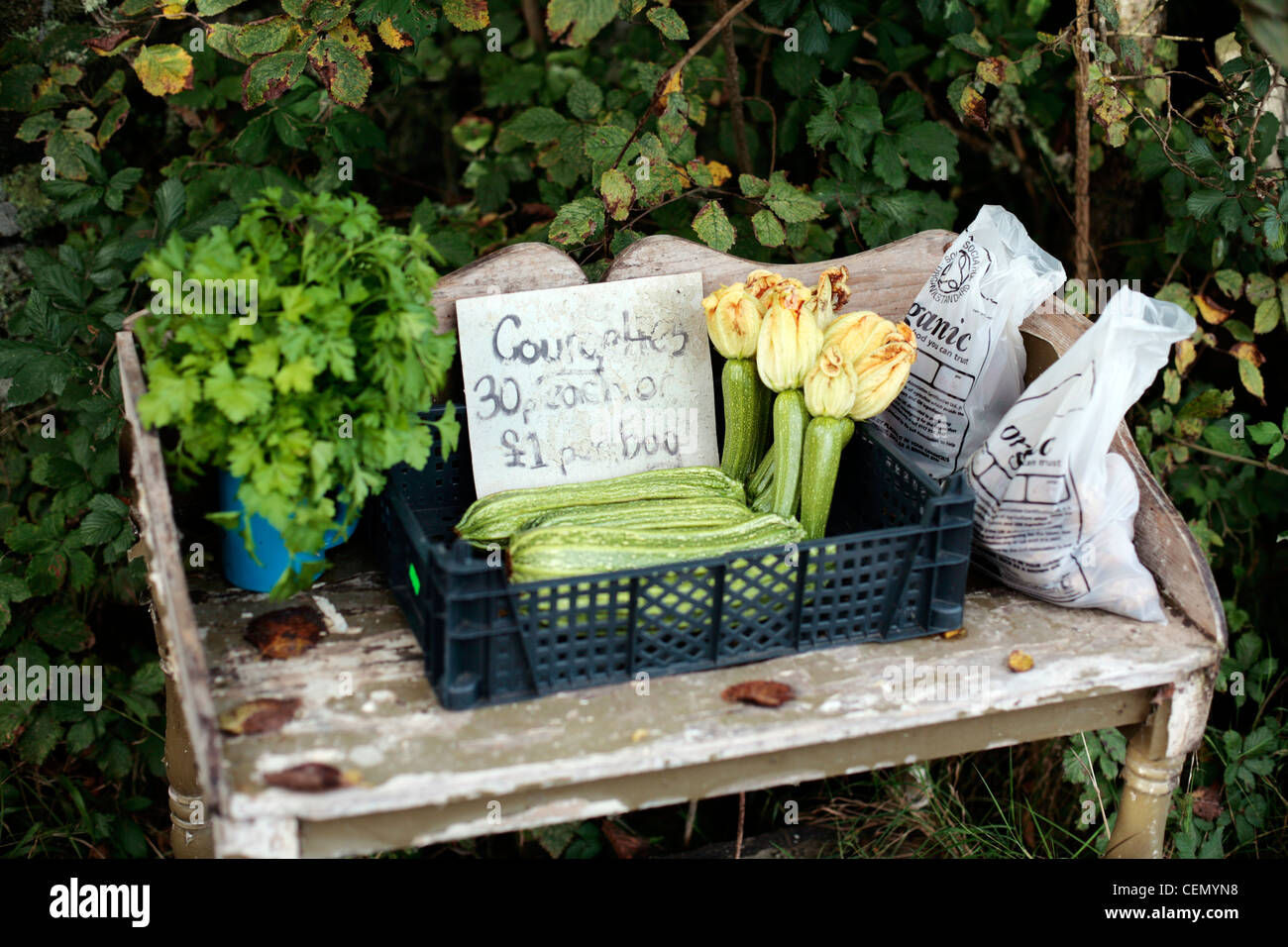 Ortaggi per la vendita su un lato strada in stallo, Sant Agnese, isole Scilly, UK. Foto Stock