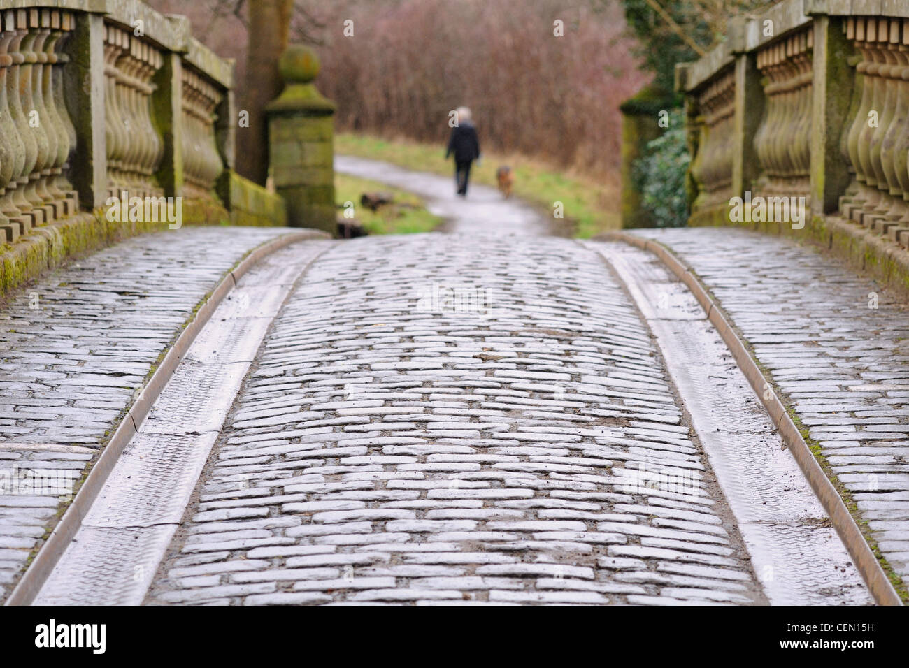 Il vecchio ponte lastricato con carrello le vie che portano l'occhio di un fuori fuoco Donna che cammina il suo cane. Foto Stock