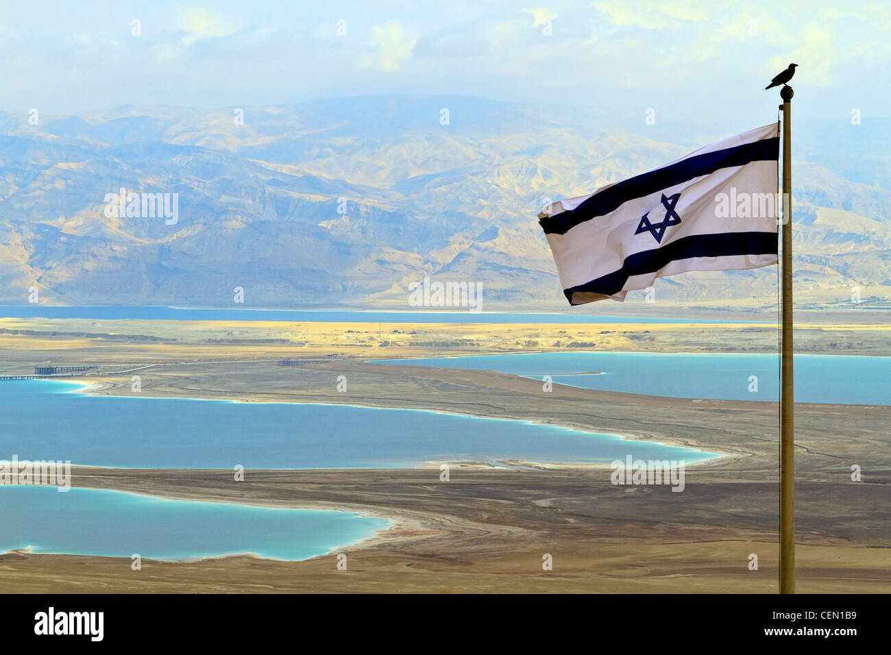 Bird si siede in cima bandiera Israeliana con vista del Mar Morto e la Giordania dalla sommità di Masada, storico israeliano fortezza. Foto Stock