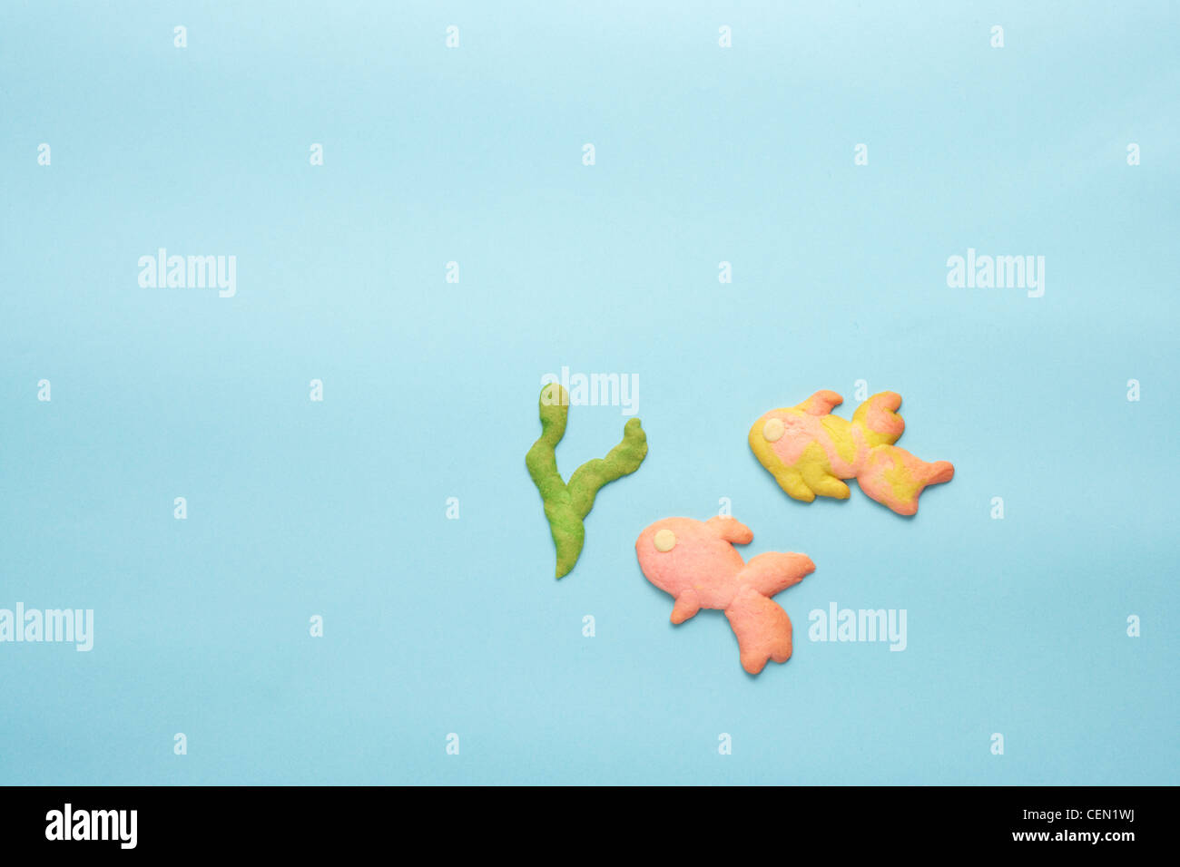 I cookie di alghe e di goldfishes Foto Stock